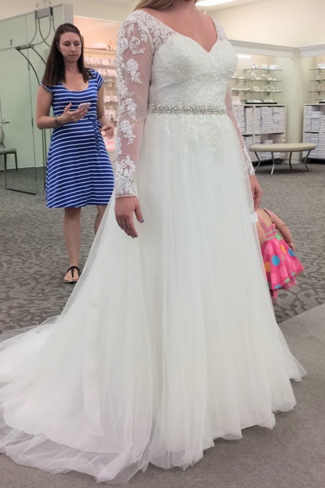 wg3831 david's bridal