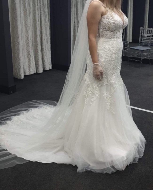 stella 6793