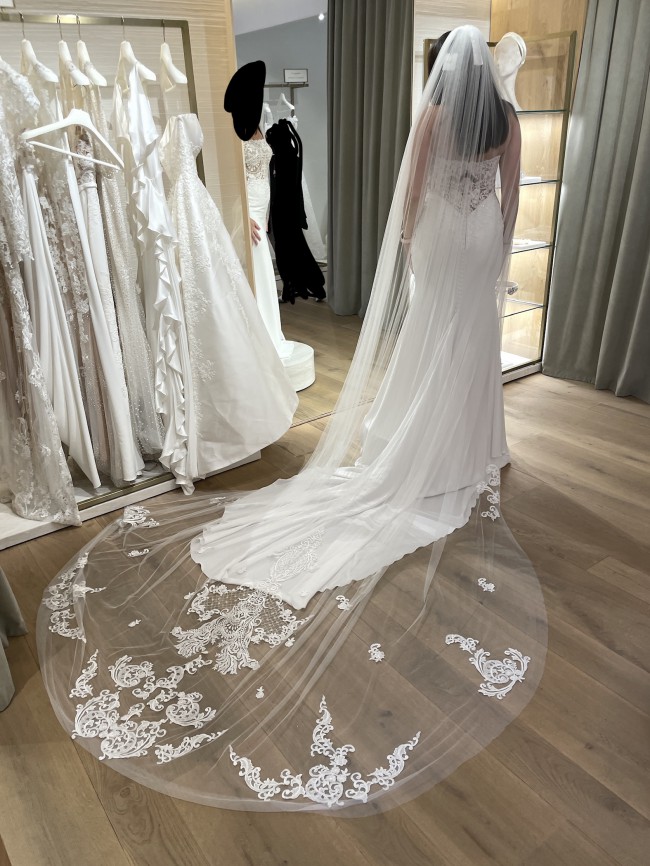 Pronovias Novak New Wedding Dress Save 20% - Stillwhite