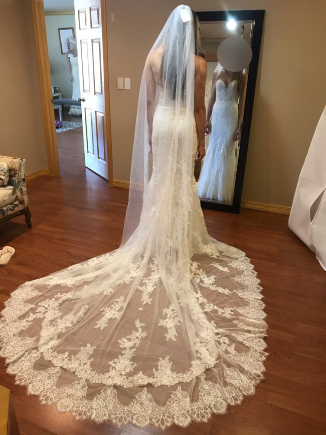Pronovias Ermin Used Wedding Dress Stillwhite