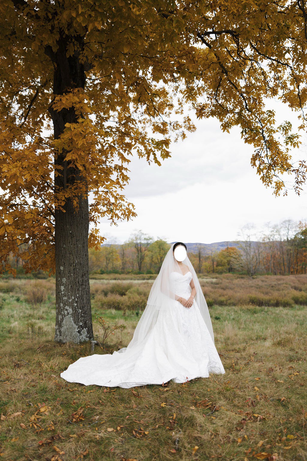 Viero Bridal, Elisa Wedding Dress Save 61% - Stillwhite
