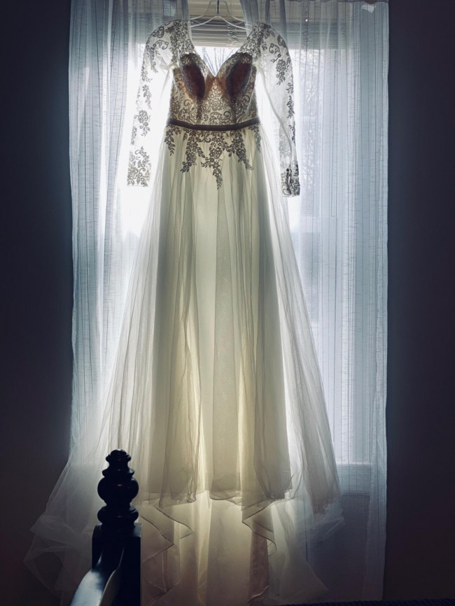 wg3831 david's bridal
