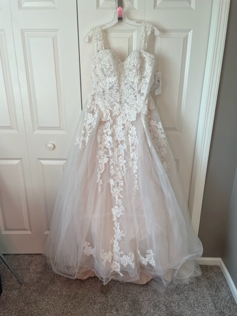 david's bridal v3902