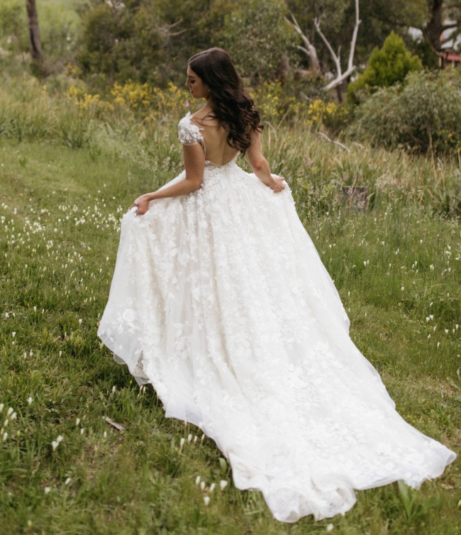 stillwhite berta