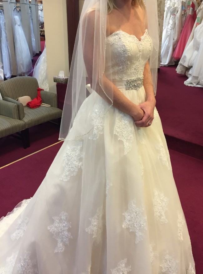 robin ball gown