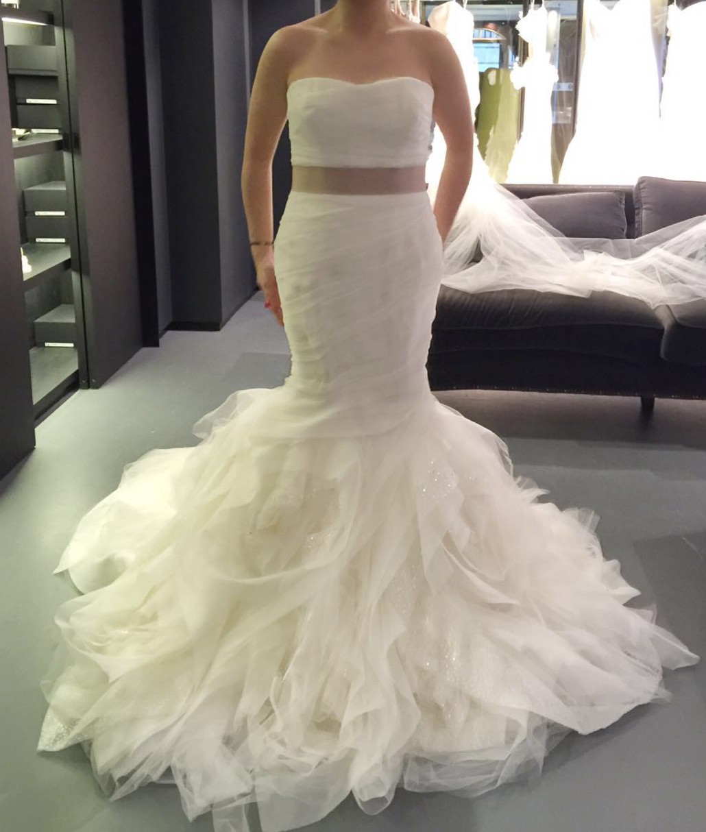 Vera Wang Gemma Iconic Wedding Dress Preowned Wedding Dress Save 