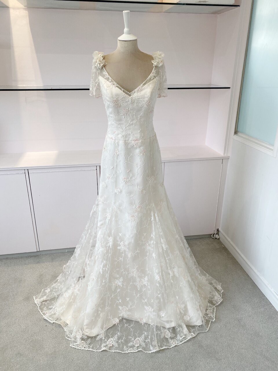 Eliza Jane Howell Paris Used Wedding Dress - Stillwhite