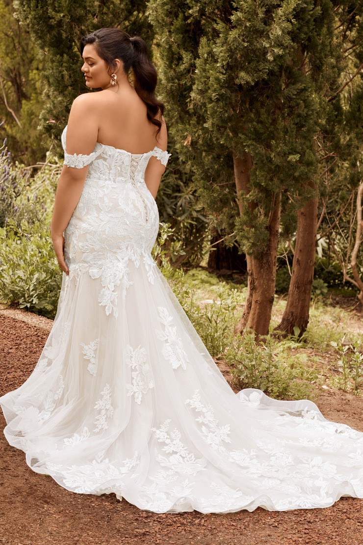 Sophia Tolli Sophia Tolli
