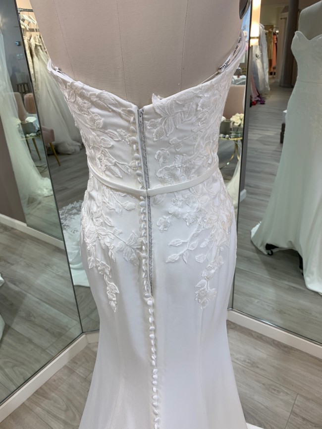 sophia tolli pippa