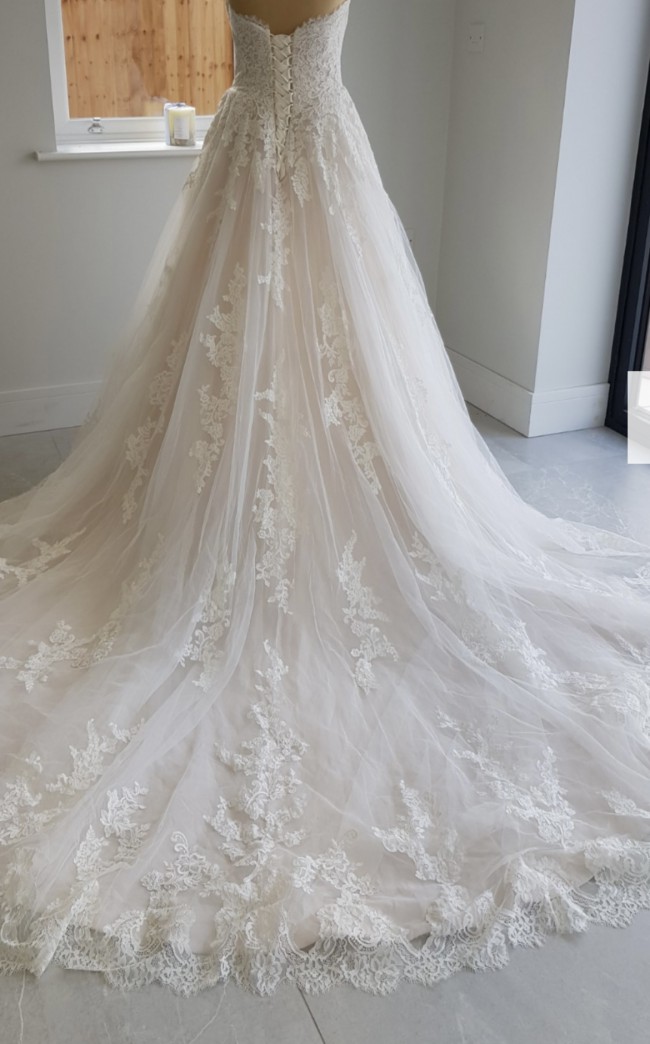 anna sorrano georgette