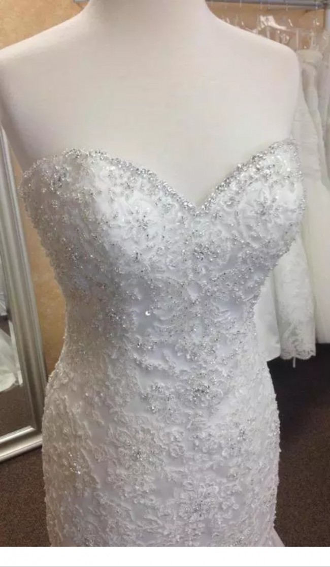 stella york 5986