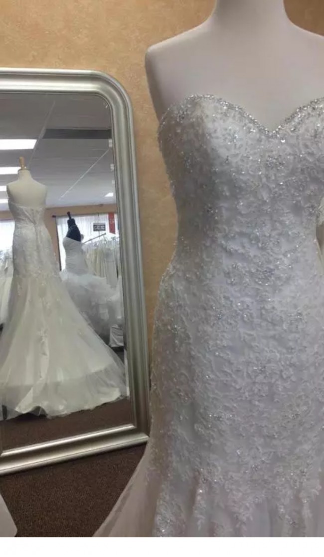 stella york 5986