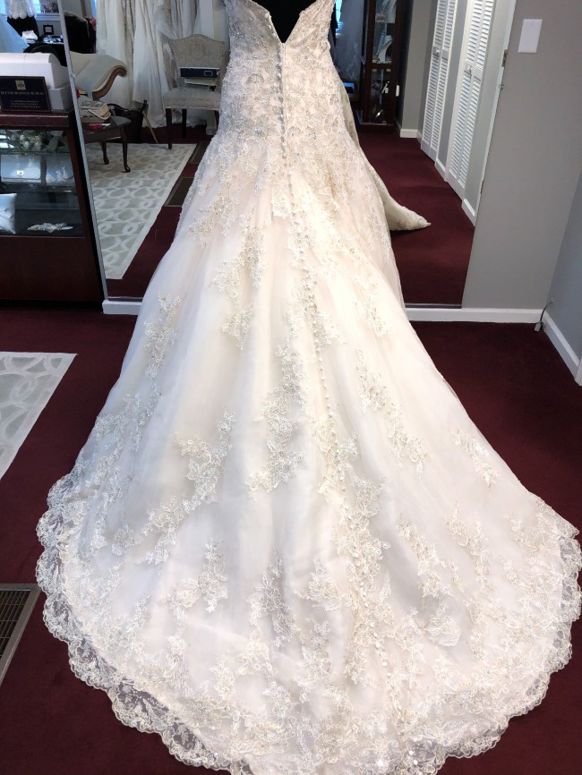 allure couture c301