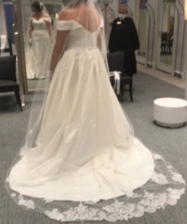 wg3979 david's bridal