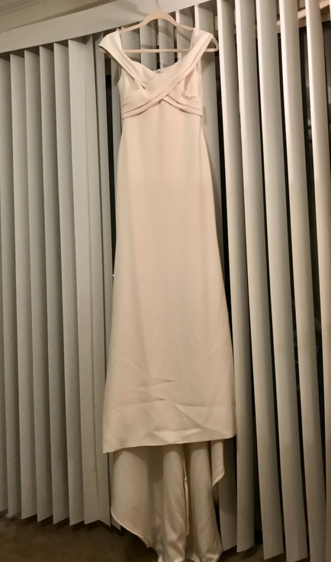bhldn blake gown used