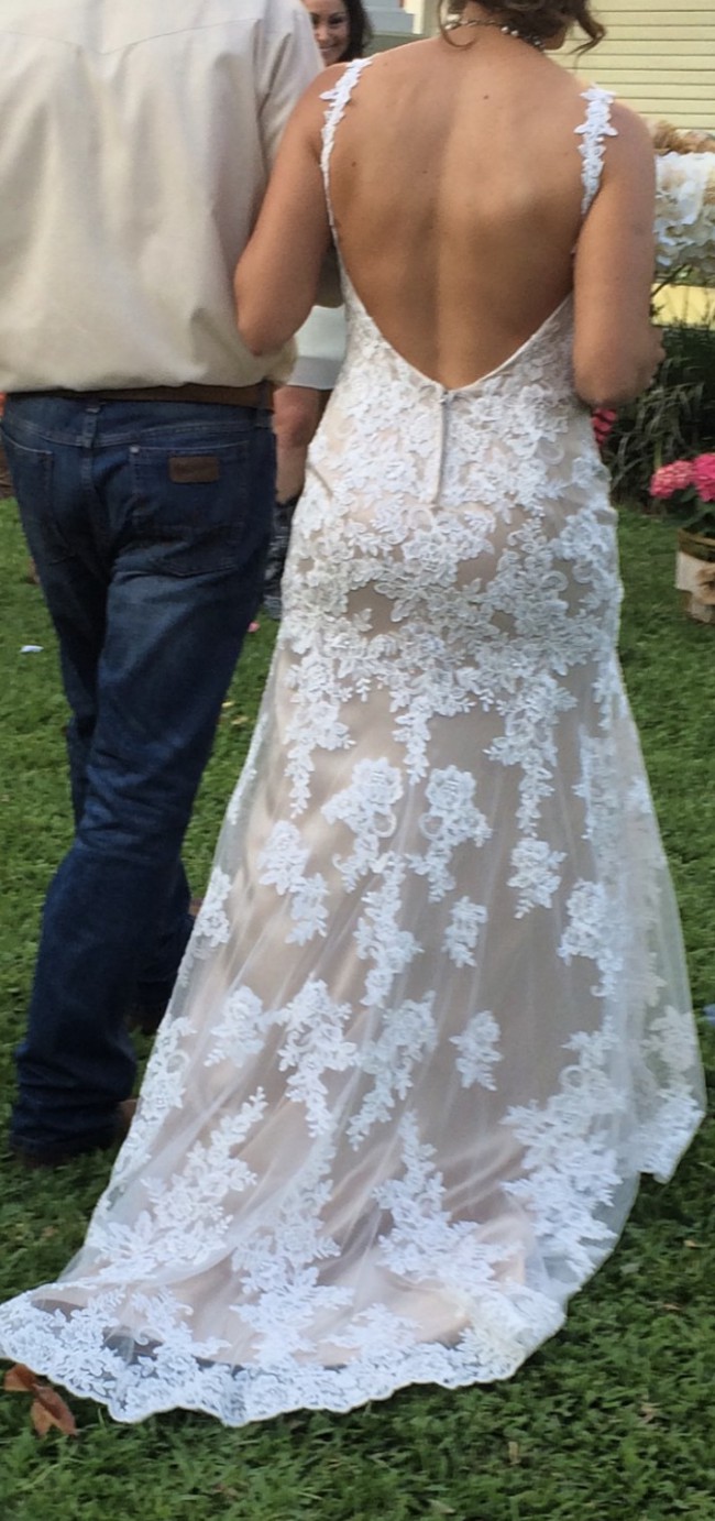 stella york 5984