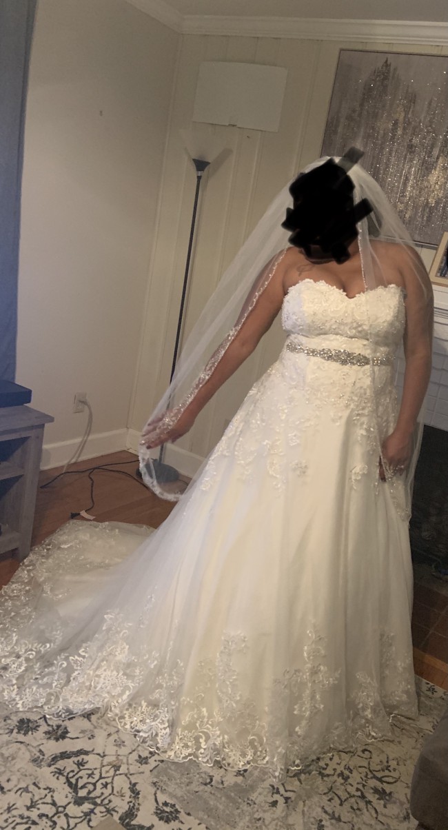 david's bridal 9v3836