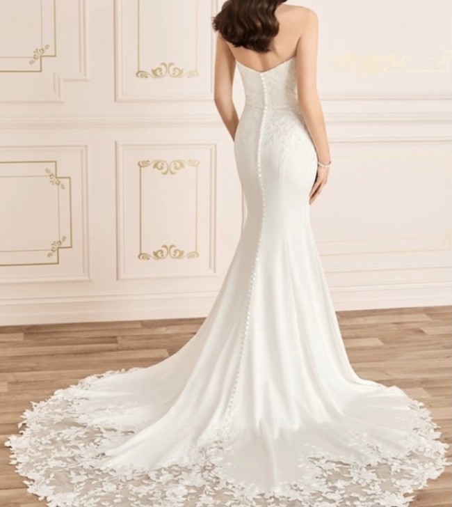 sophia tolli pippa
