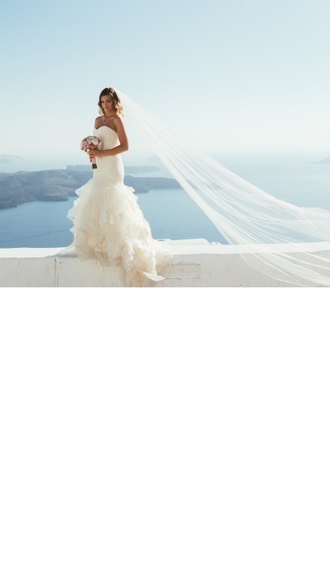 Vera Wang Lillian Wedding Dress for Price