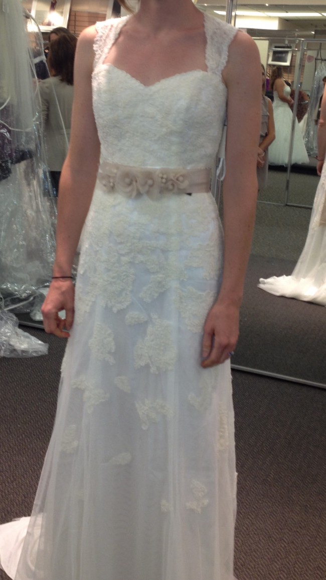 v3848 david's bridal