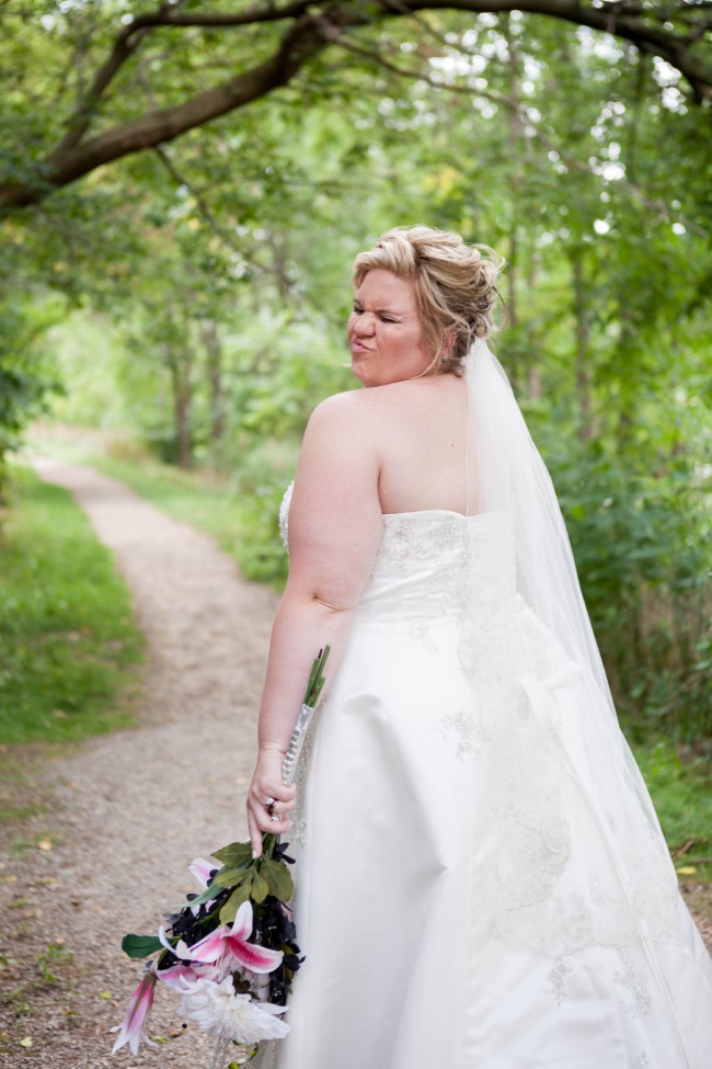 v3848 david's bridal