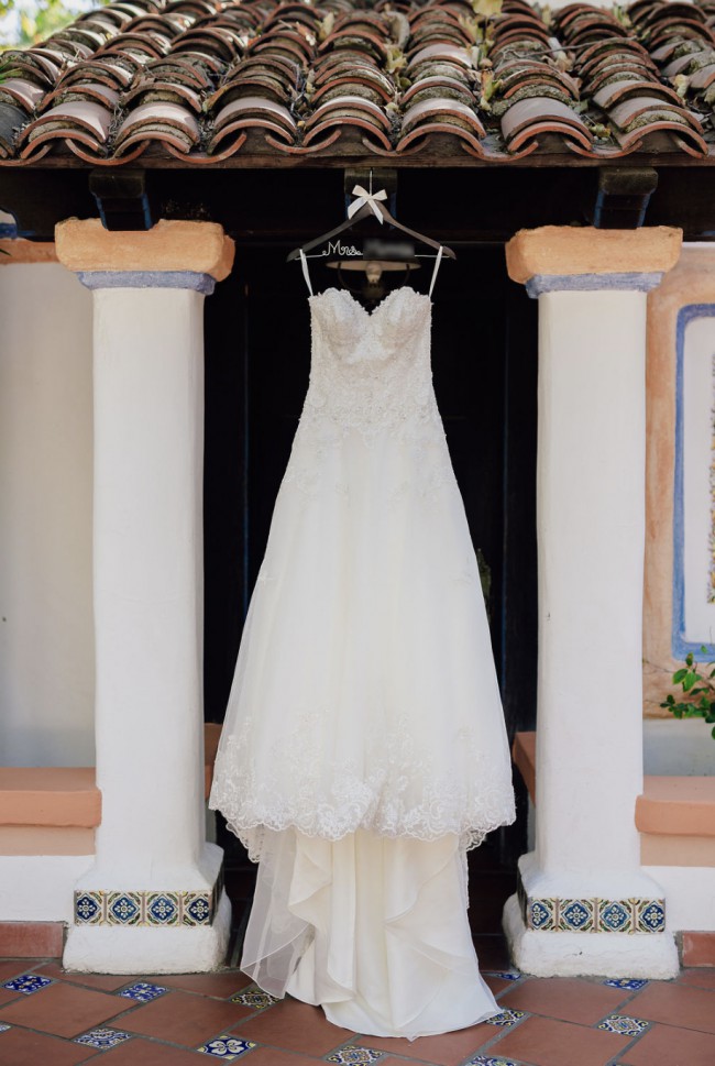 v3836 david's bridal