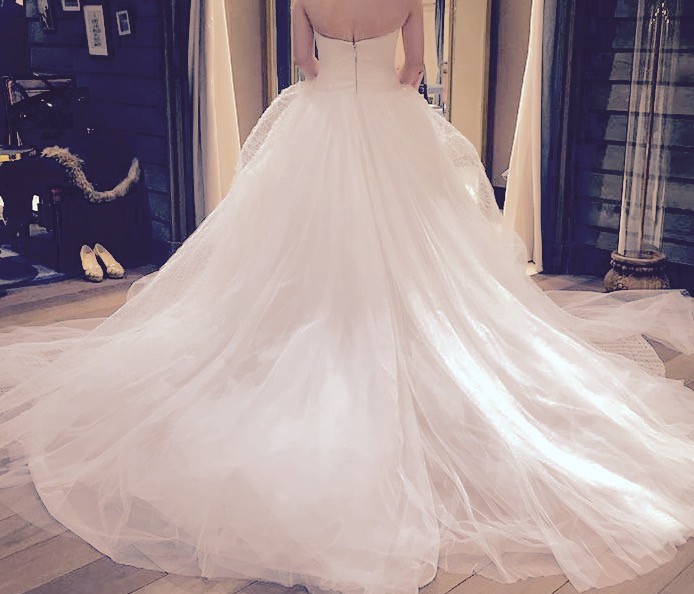 Vera Wang Octavia Preloved Wedding Dress Save 75% - Stillwhite