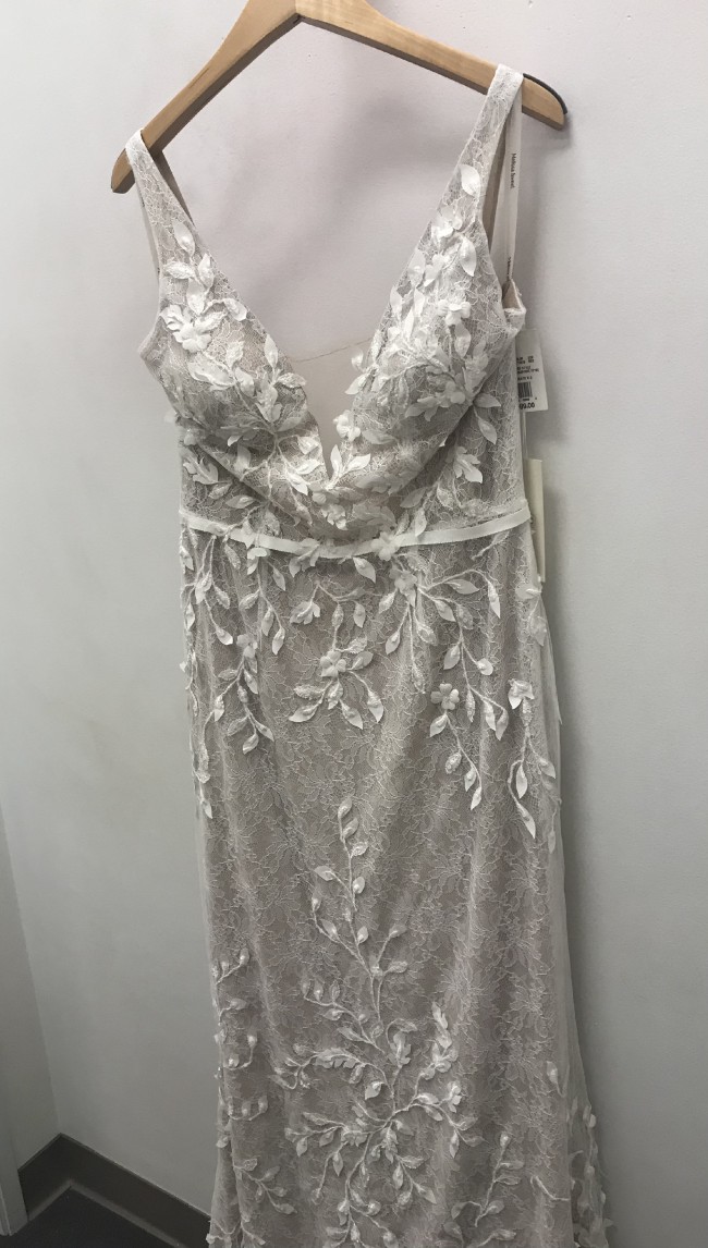 ms251223