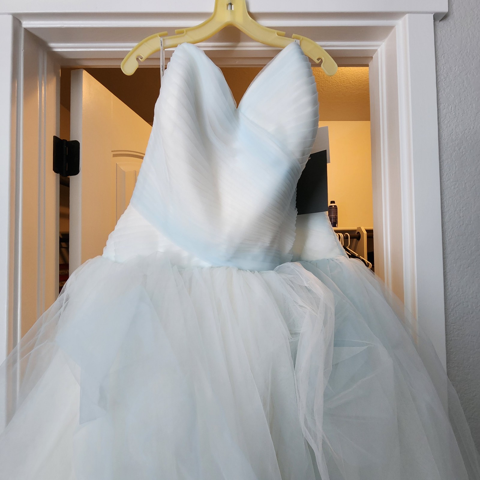 Vera Wang Ombre Wedding Dress