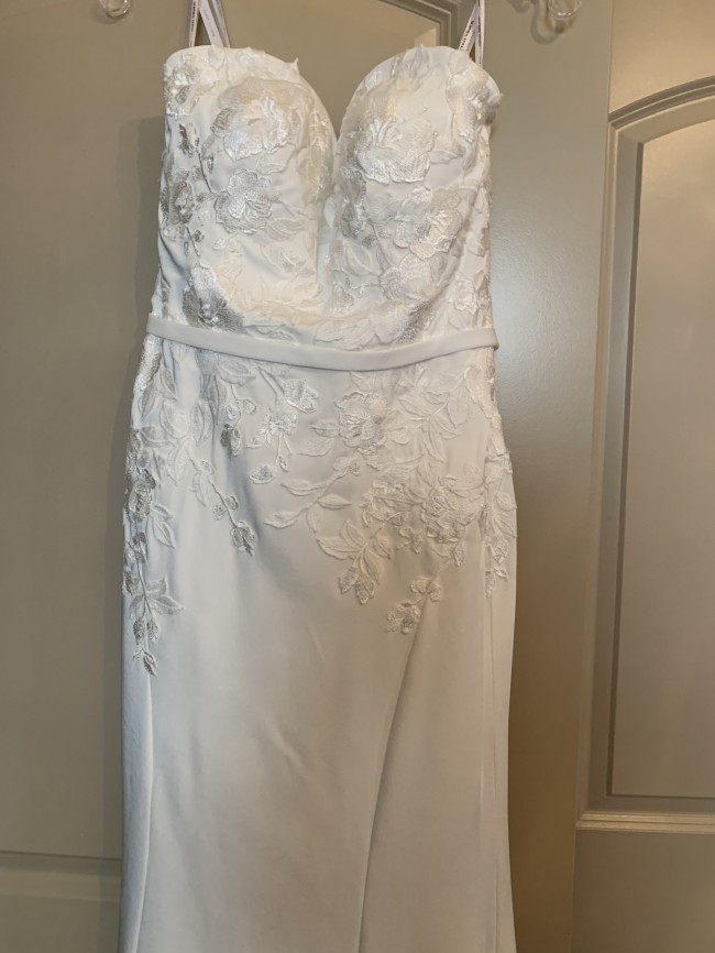 sophia tolli pippa