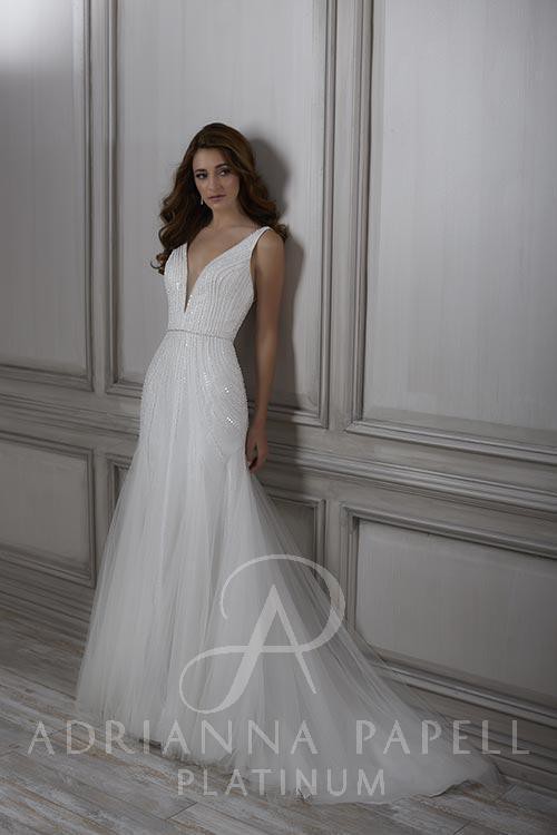 adrianna papell ethereal fit and flare dress Adrianna Papell Platinum 40426 main image 1