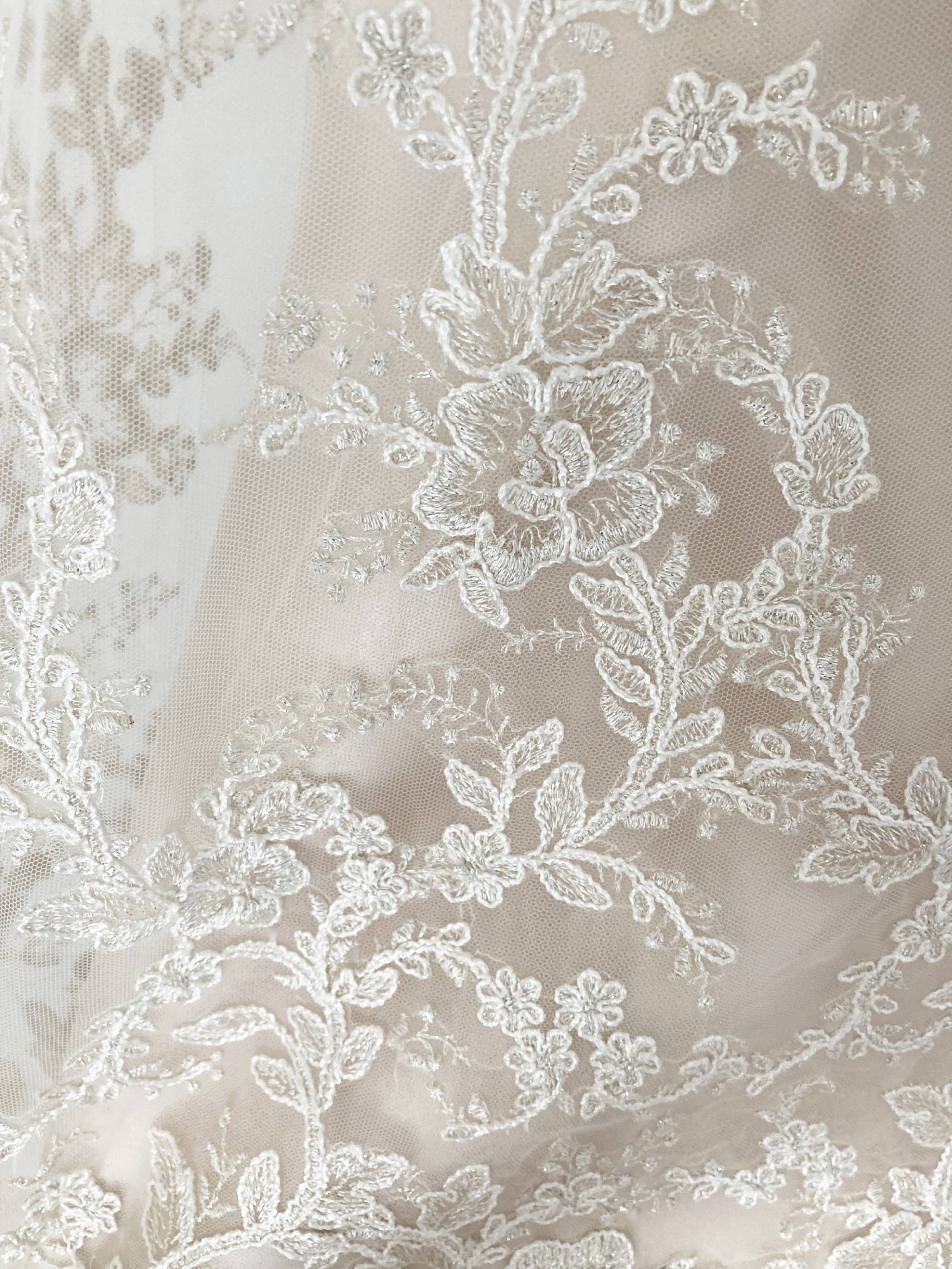 Rita Mae 1055 Anastasia Champagne Tea Length Lace Wedding Dress