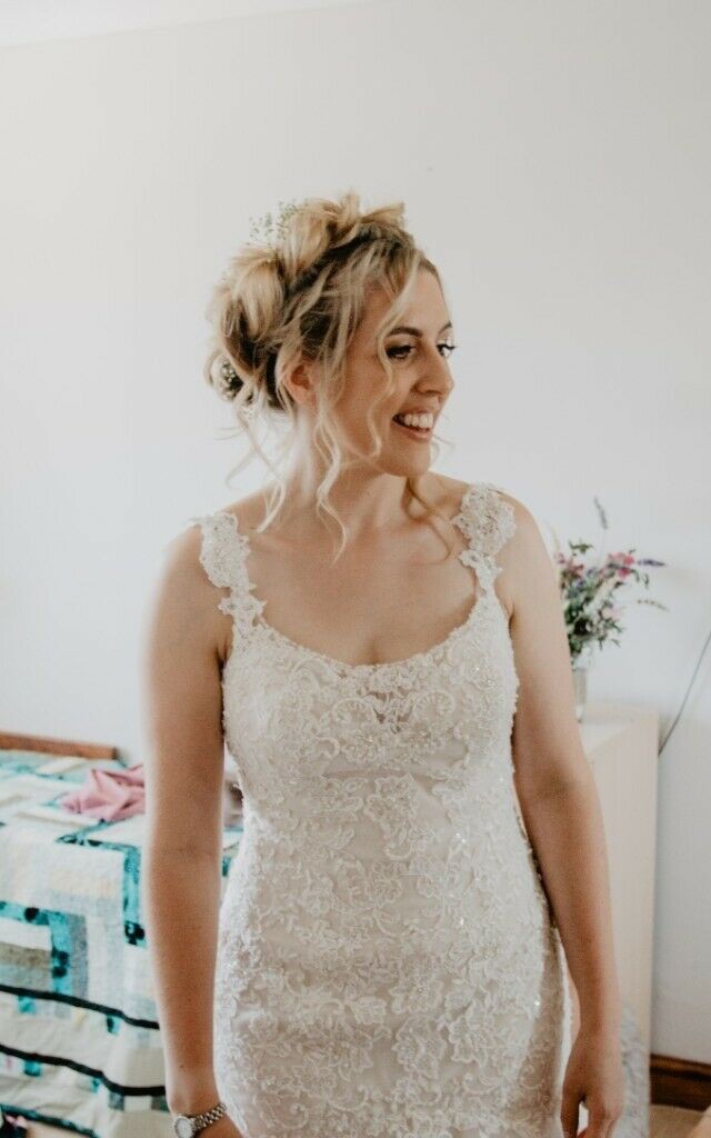 ashley wed2b