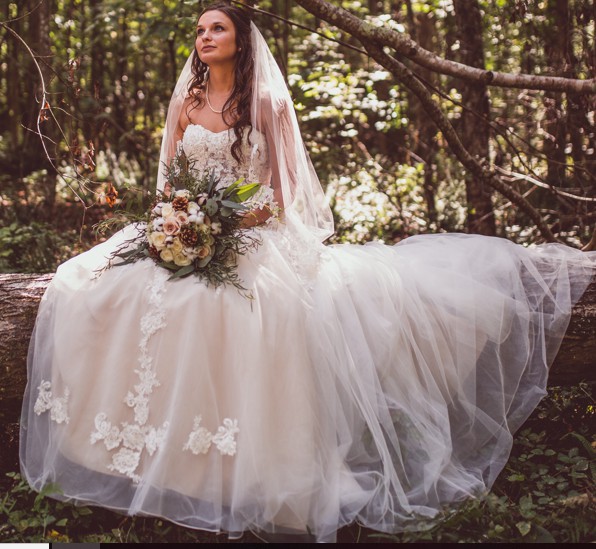 wg3861 david's bridal