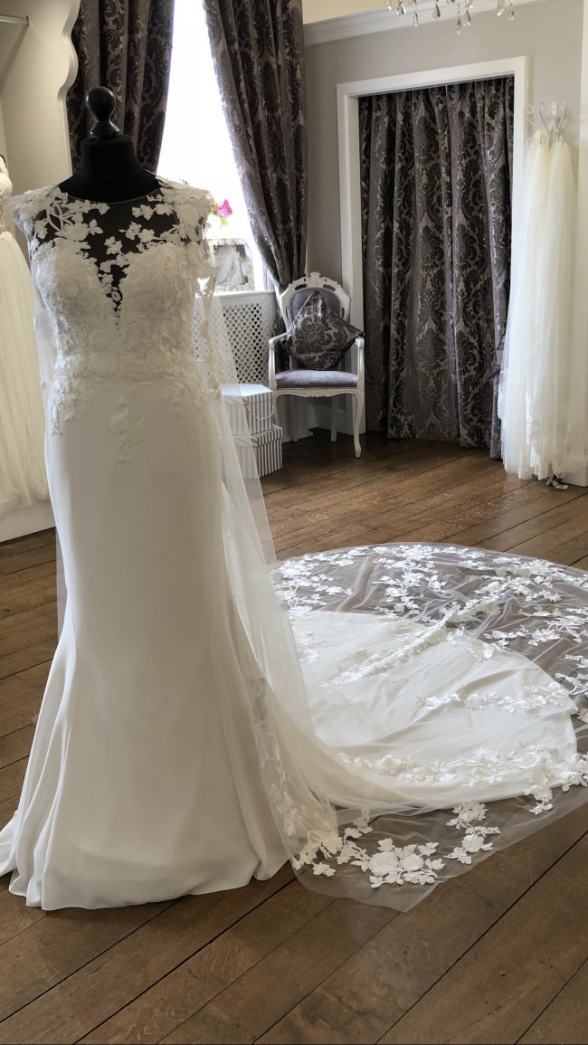 Pronovias Drail  wedding dress and cape