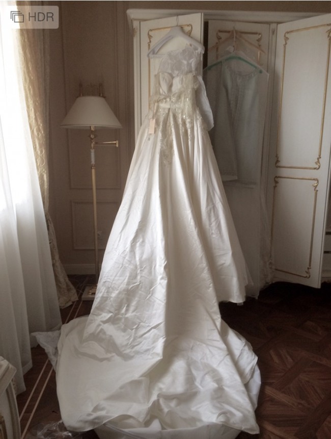 Elie Saab MONET by Pronovias Used Wedding Dress on Sale 70% Off