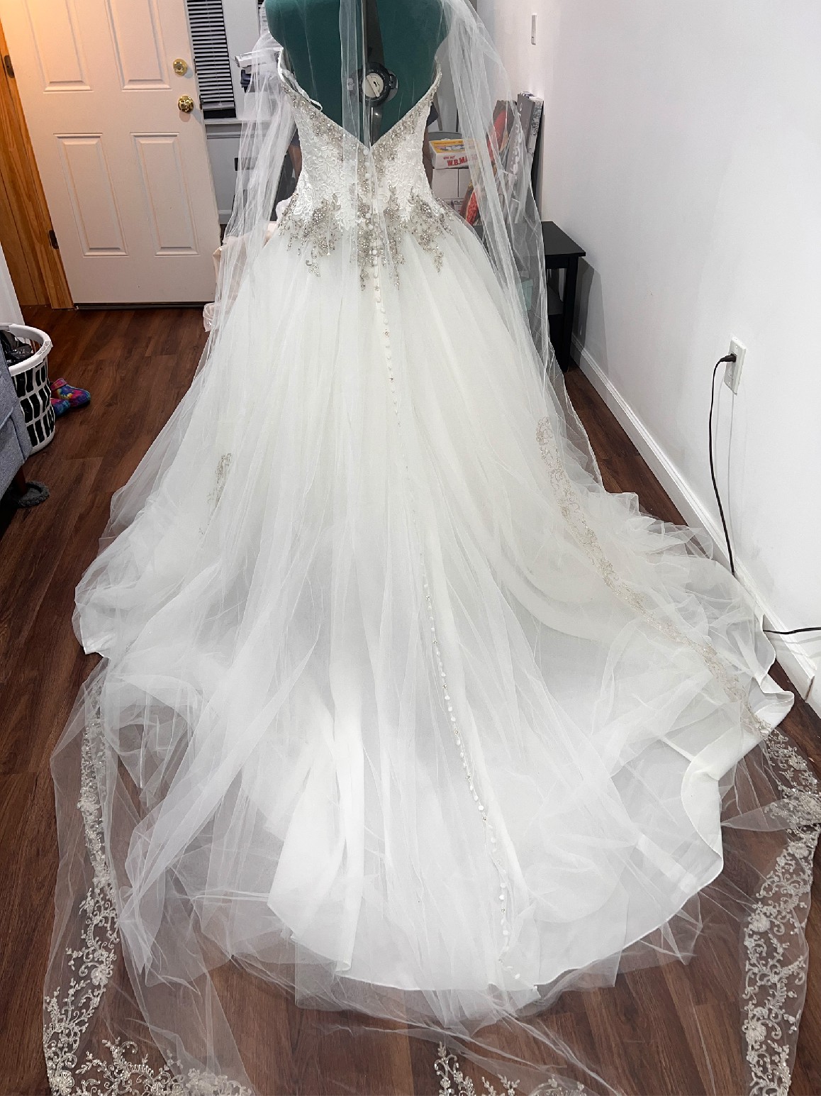 danielle caprese  Wedding dress pictures, Best wedding dresses