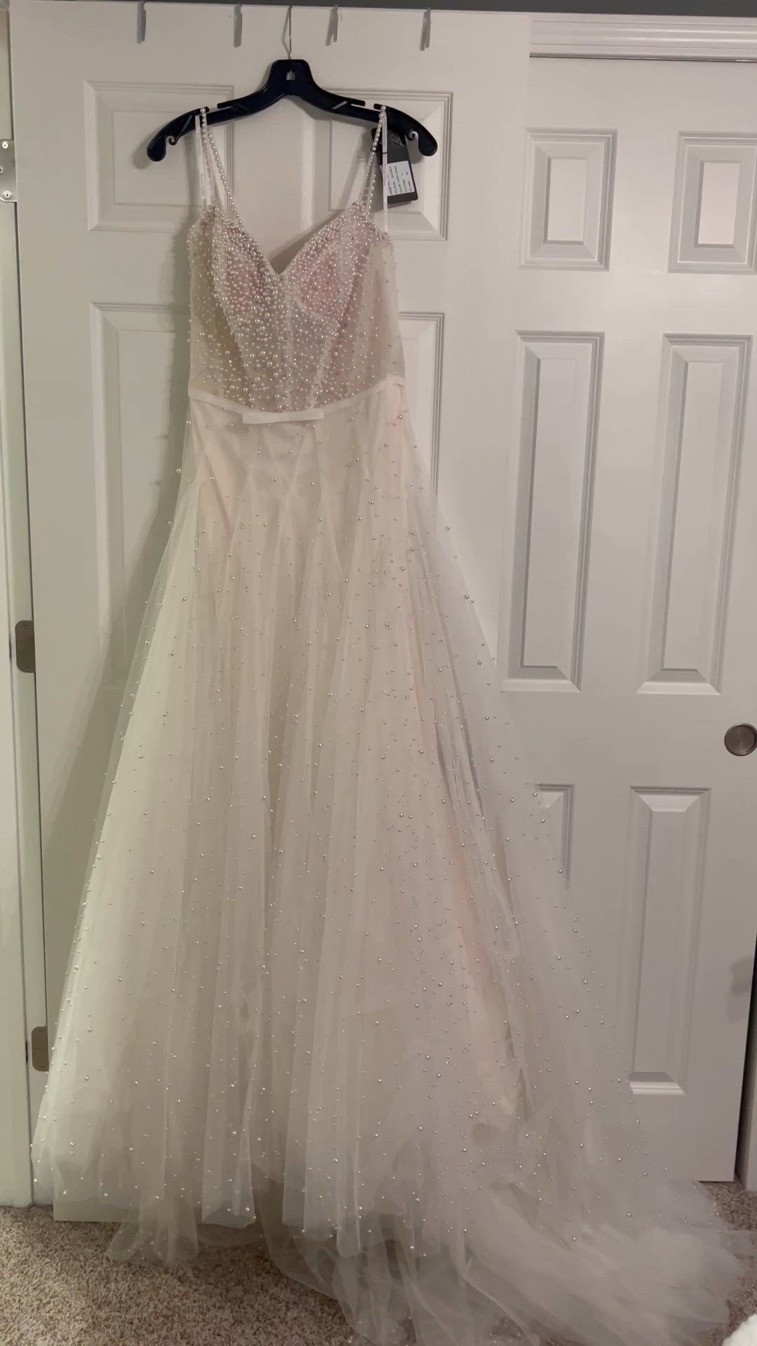 Randy Fenoli, GOLDIE