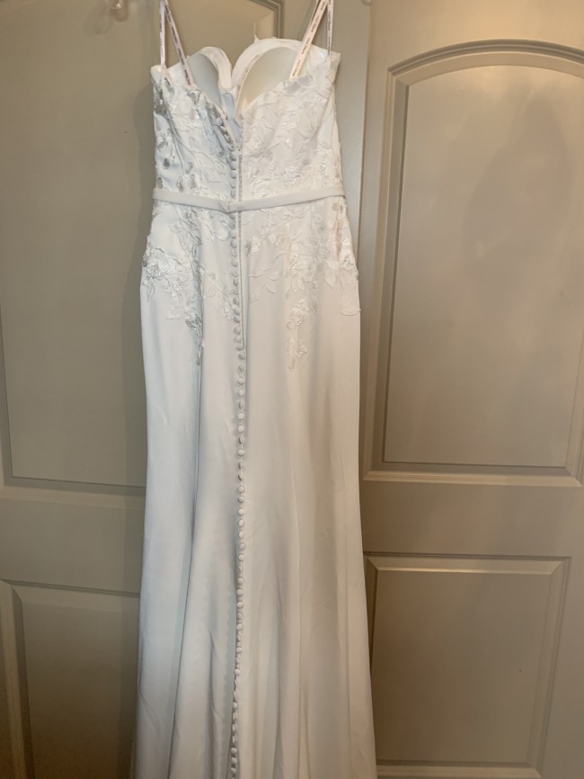 sophia tolli pippa