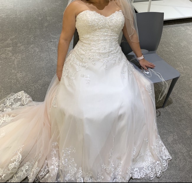 v3836 david's bridal