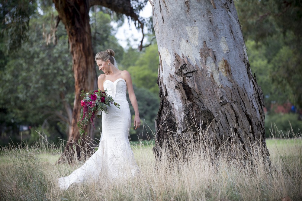 The Stephanie Gown