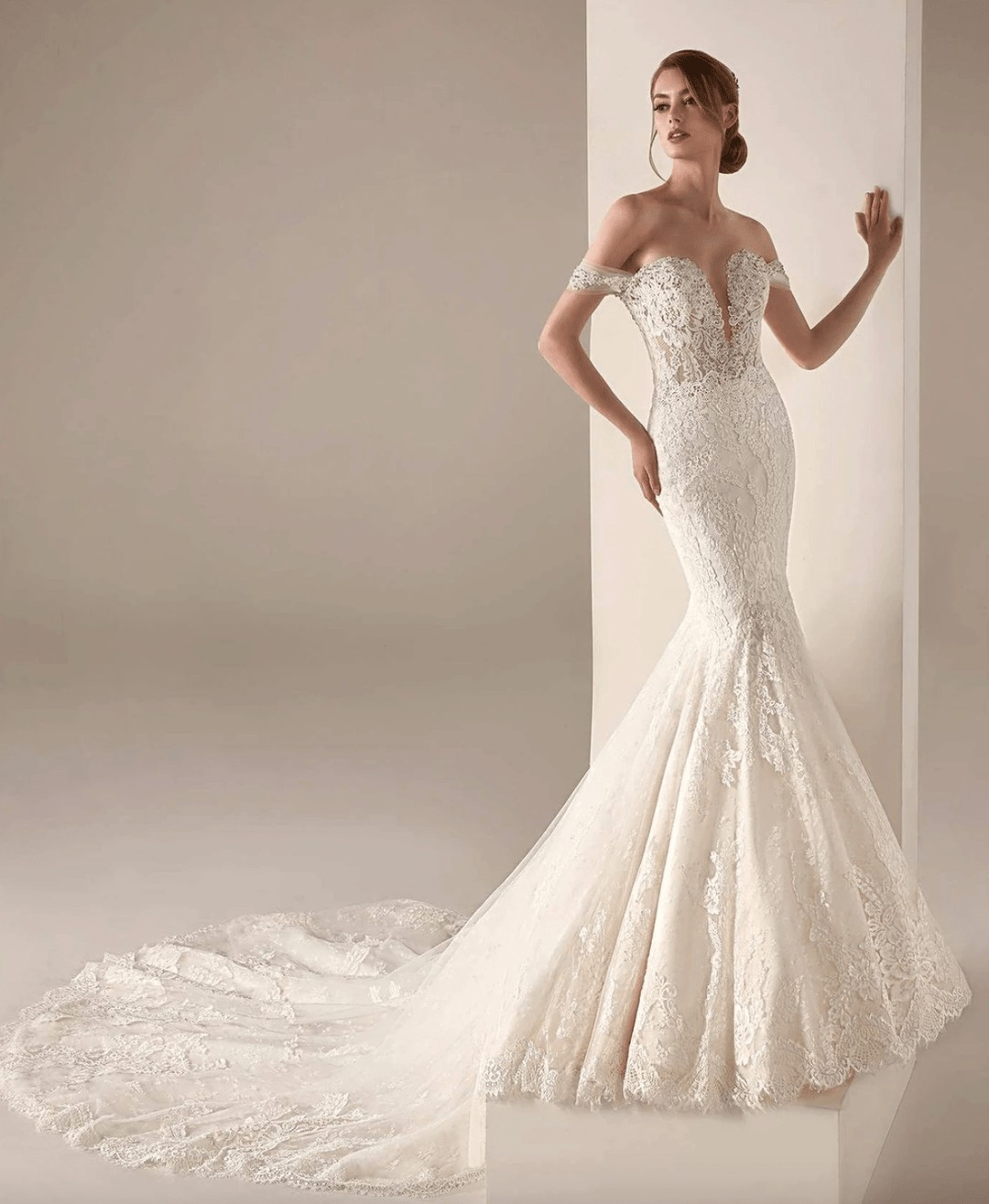 Pronovias Privee, Imelda NWT US 8 Removable Sleeves & Liner BRIDAL S