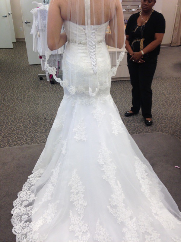 David's Bridal Collection V3680 New 