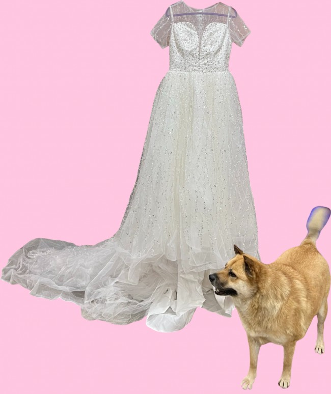 ballgown-new-wedding-dress-stillwhite