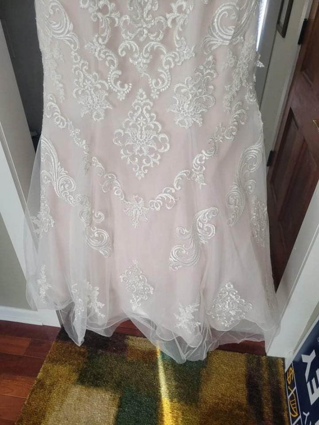 d3223 essense of australia