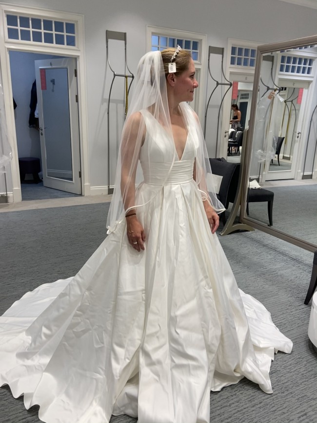 v3848 david's bridal