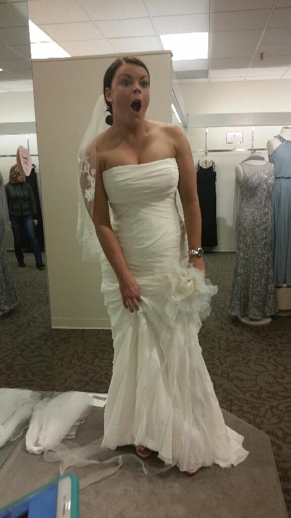 Vera Wang, Crinkle Chiffon Fit and Flare with Skirt Flanges New Wedding  Dress Save 42%