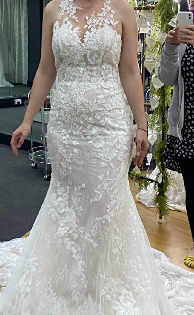 hati pronovias