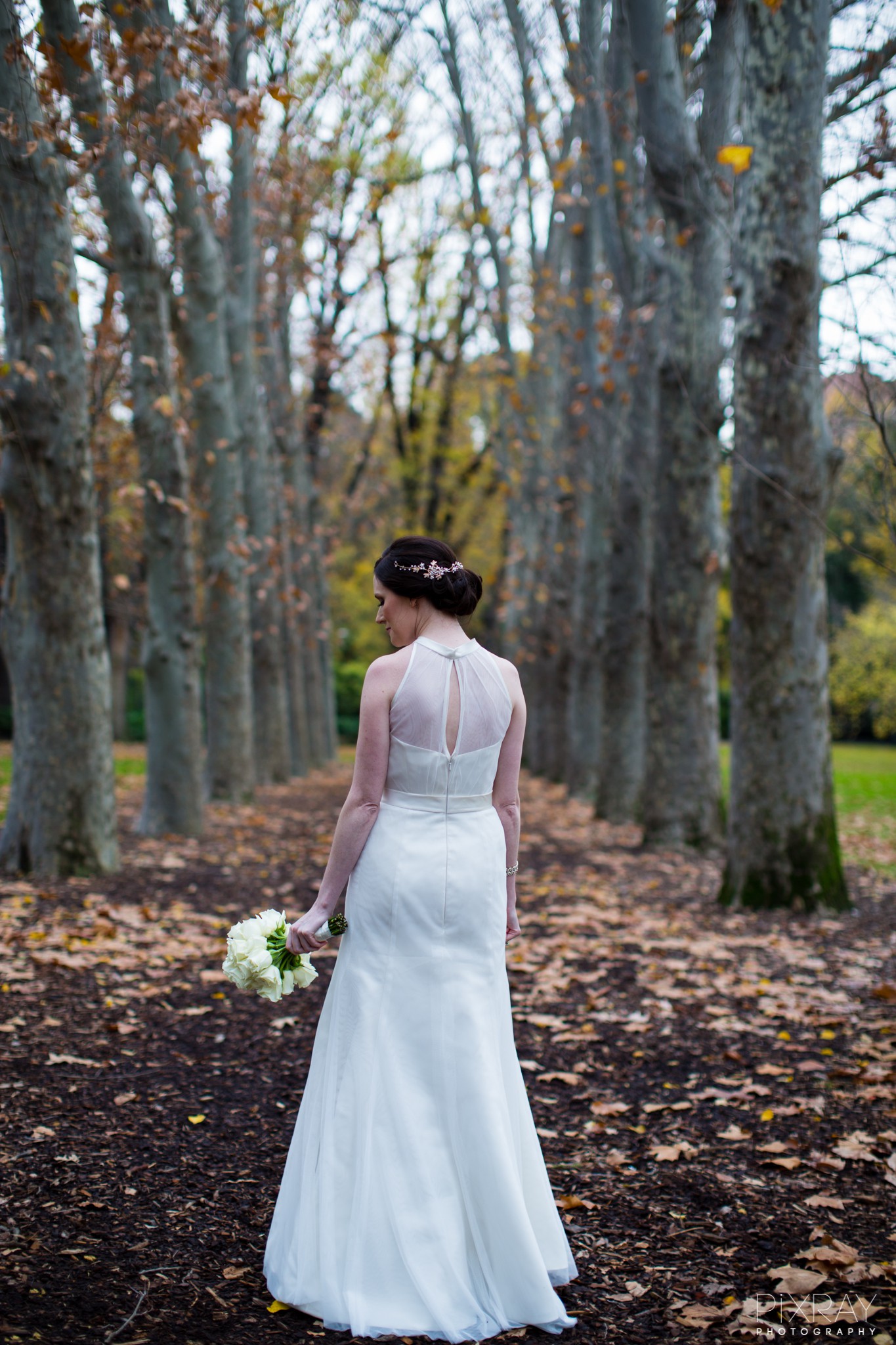 Birnbaum and Bullock Wedding Dresses