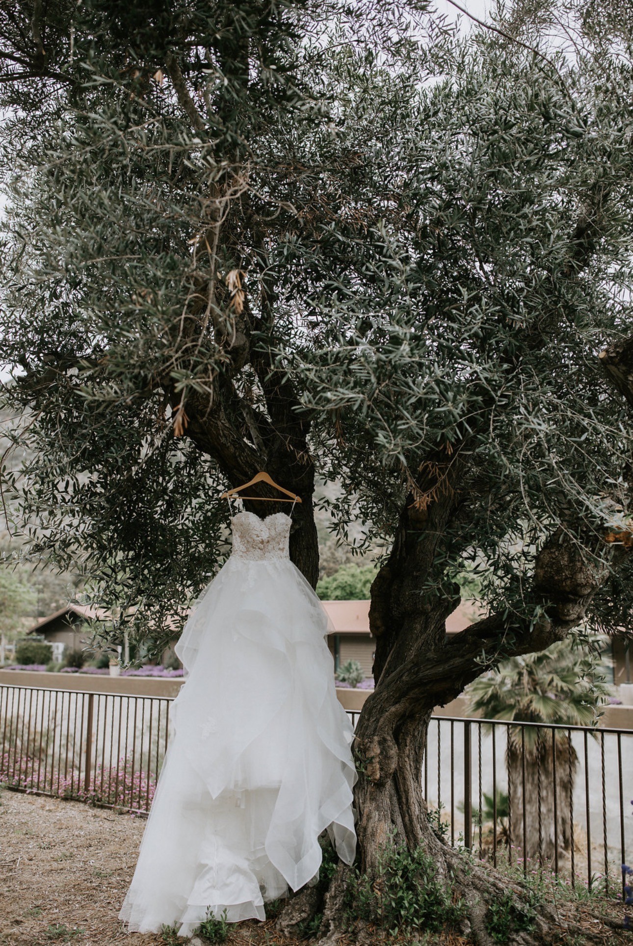 Pronovias, Draval